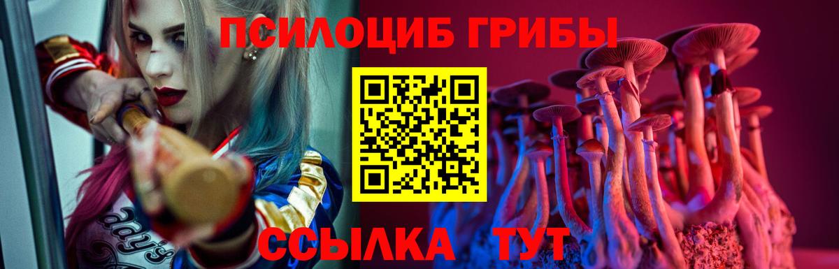 Галлюциногенные грибы Psilocybe  Галлюциногенные грибы прущие грибы  магазин продажи   Чернушка  Вход с VPN 